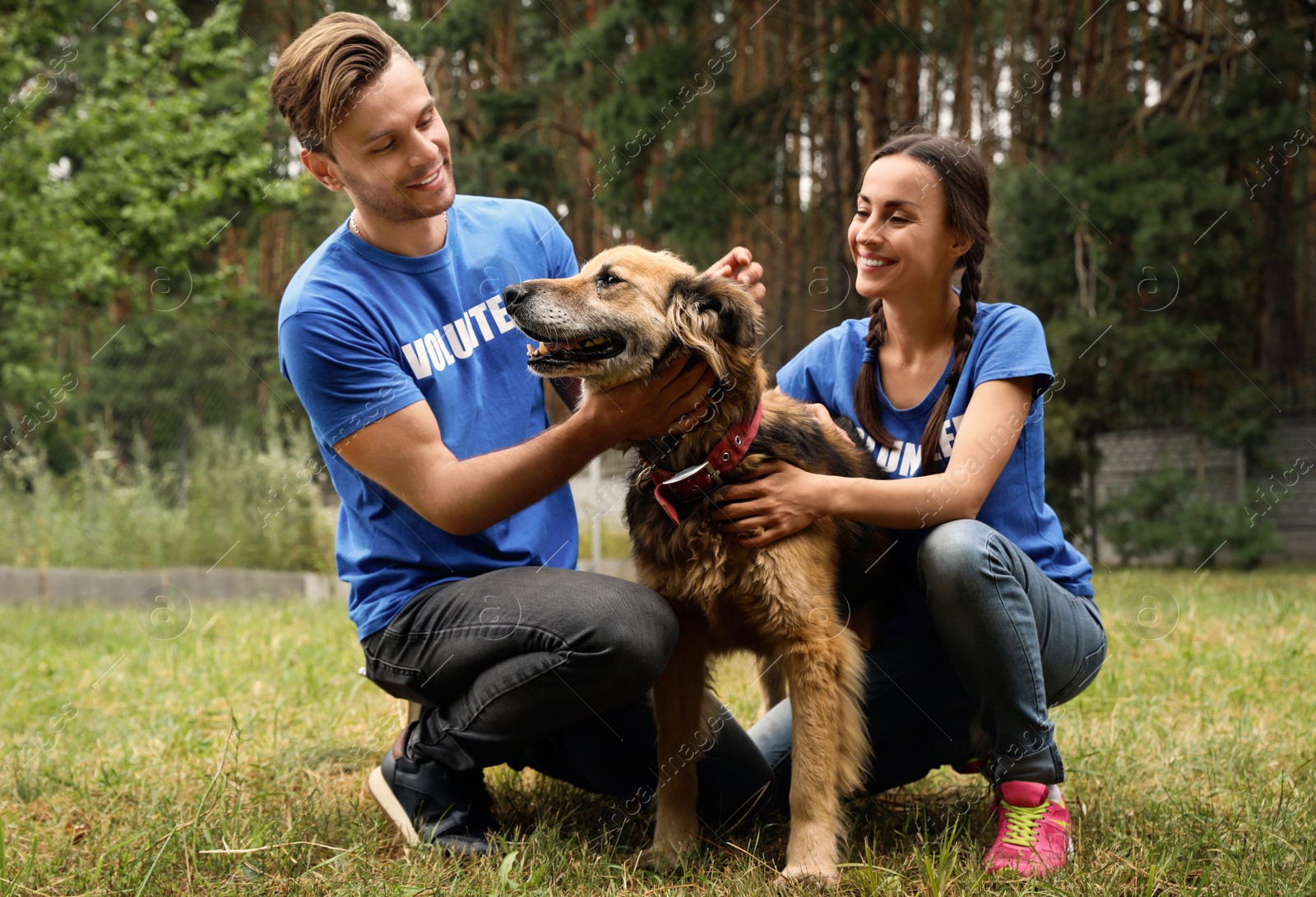 Photo of Volunteers with homeless dog at animal shelter outdoors