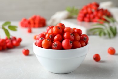 Photo of Fresh ripe rowan berries in bowl on light table, closeup