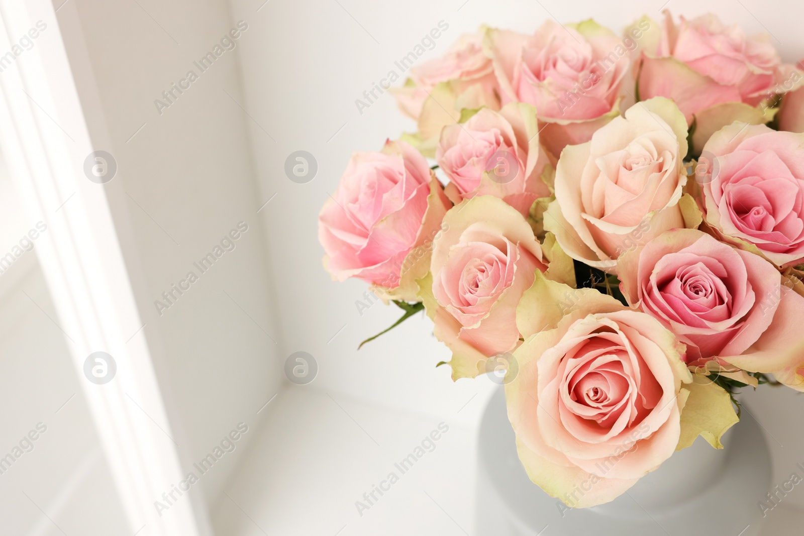 Photo of Beautiful rose flowers on shelf indoors, above view and space for text. Interior design