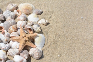 Photo of Beautiful starfish and sea shells on sandy beach, space for text