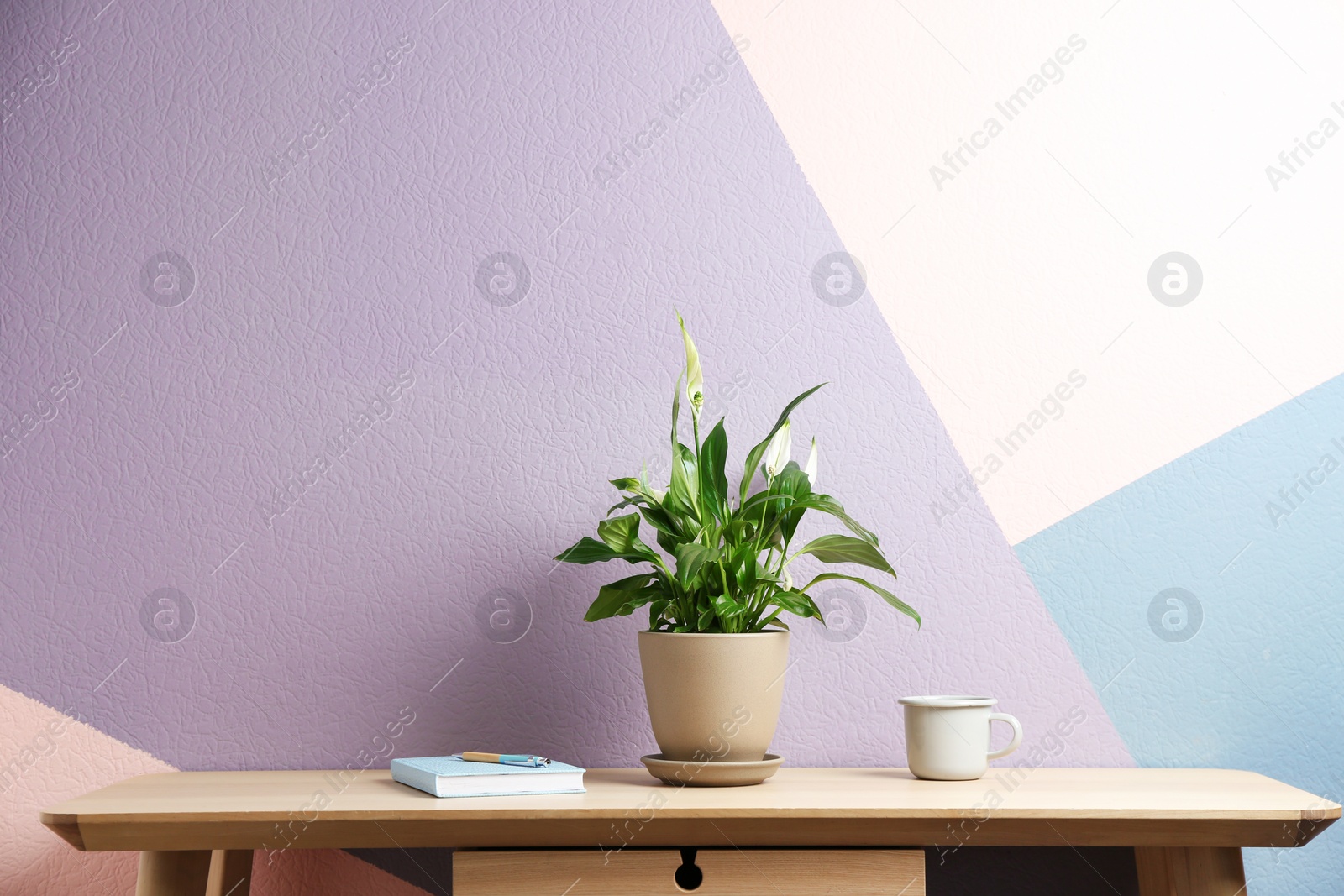 Photo of Potted peace lily plant, cup and notebook on wooden table near color wall