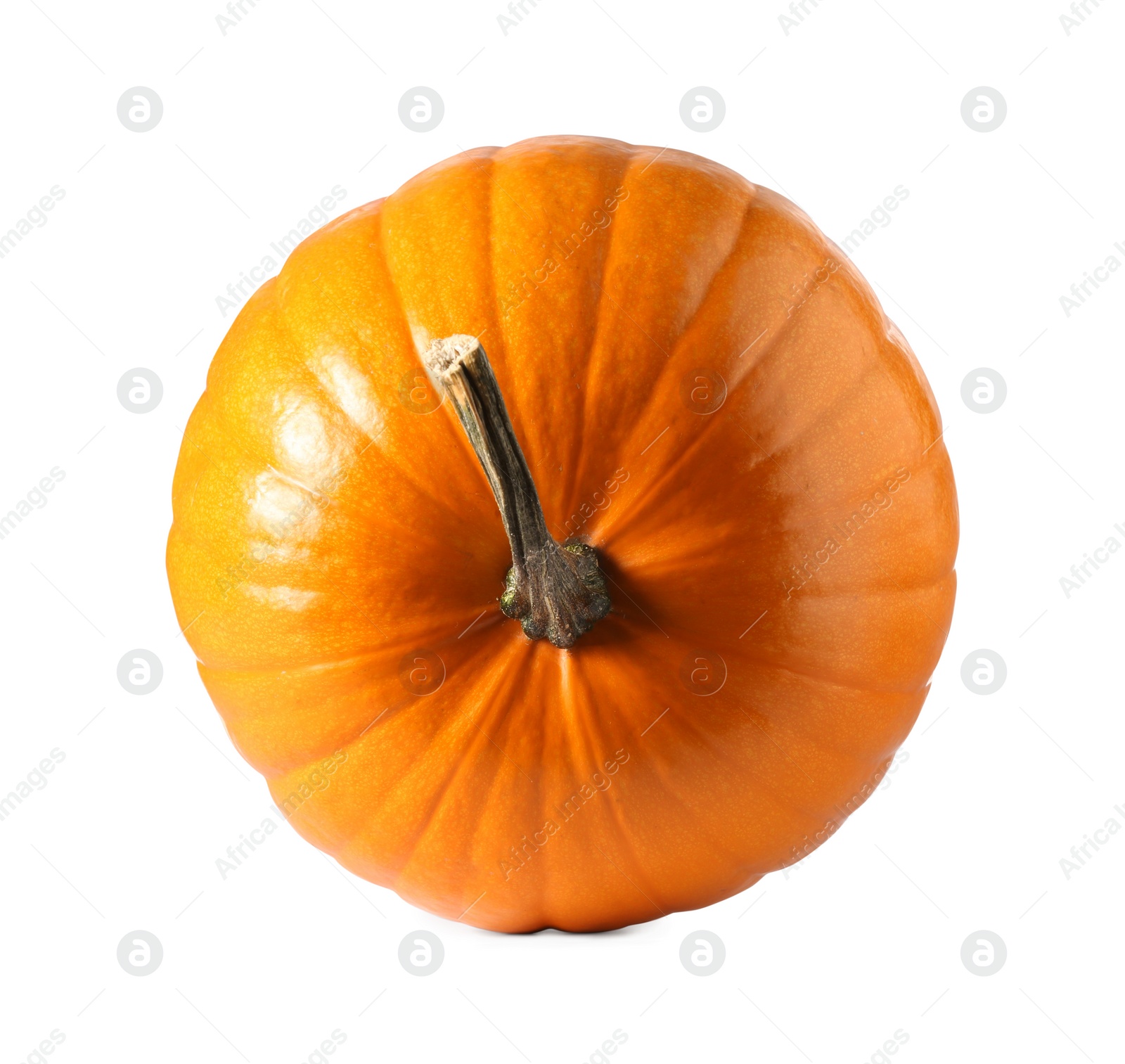 Photo of One fresh orange pumpkin isolated on white