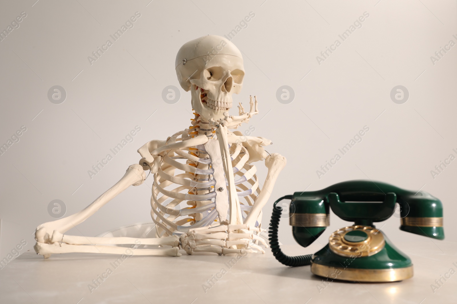 Photo of Waiting concept. Human skeleton at table with corded telephone against light grey background