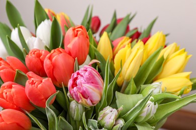 Photo of Beautiful colorful tulip flowers on grey background, closeup