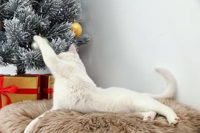 Photo of Cute white cat on fur rug near Christmas tree indoors. Cozy winter