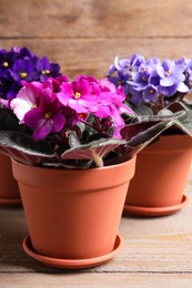 Beautiful potted violets on wooden table, closeup. Plants for house decor