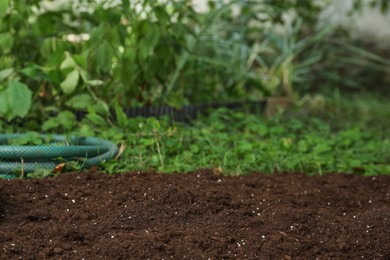Photo of Hose and soil in garden, space for text