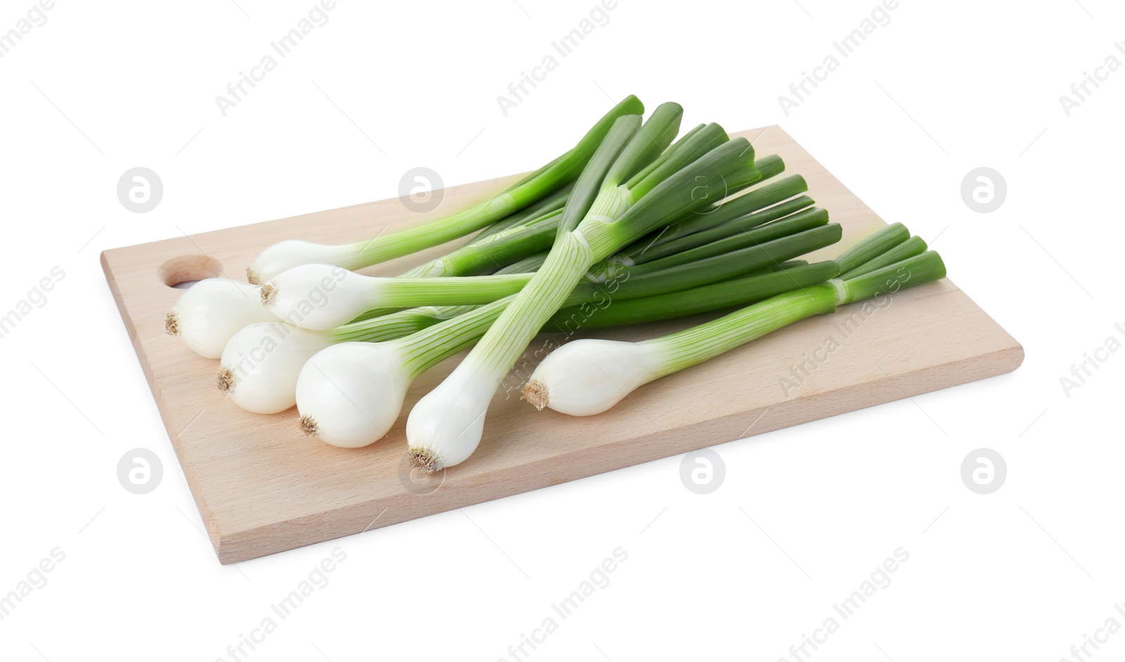 Photo of Whole green spring onions isolated on white