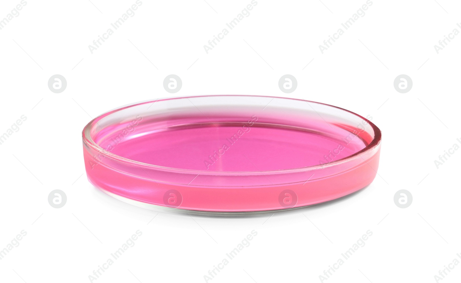 Photo of Petri dish with pink liquid isolated on white