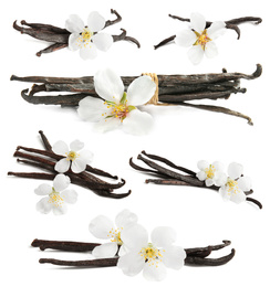 Image of Set with aromatic vanilla pods and flowers on white background