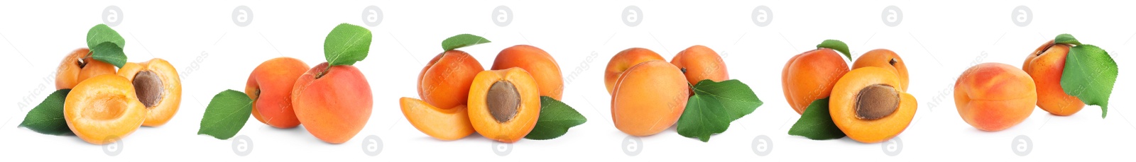 Image of Set of fresh apricots on white background. Banner design