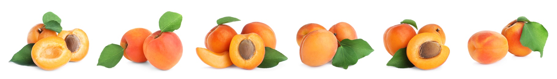 Image of Set of fresh apricots on white background. Banner design