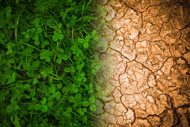 Dry cracked land and green grass, top view