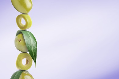 Cut and whole green olives with leaves on light indigo gradient background, space for text