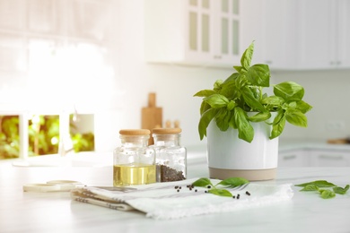 Photo of Fresh green basil in pot on white table in kitchen