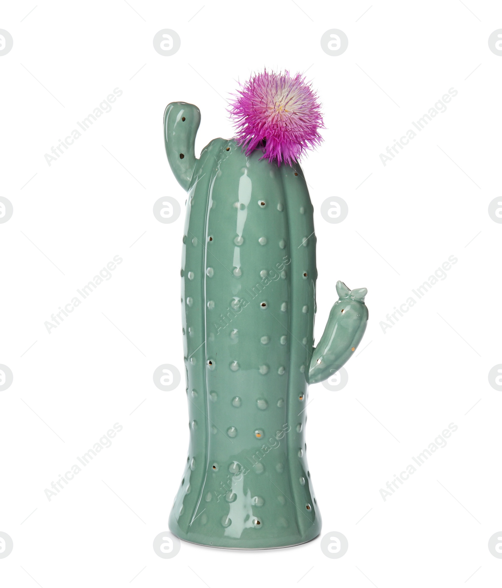 Photo of Trendy cactus shaped ceramic vase with flower on white background