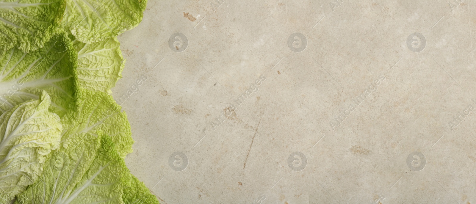 Image of Fresh Chinese cabbage leaves on gray textured table, top view. Banner design with space for text