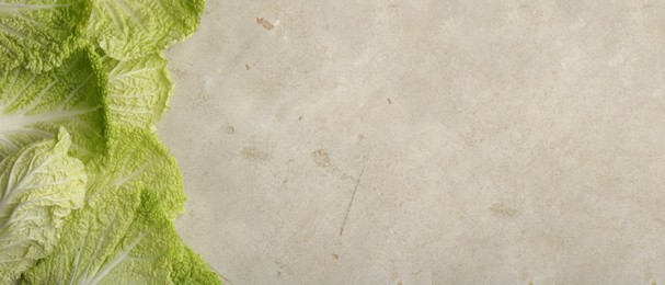 Image of Fresh Chinese cabbage leaves on gray textured table, top view. Banner design with space for text