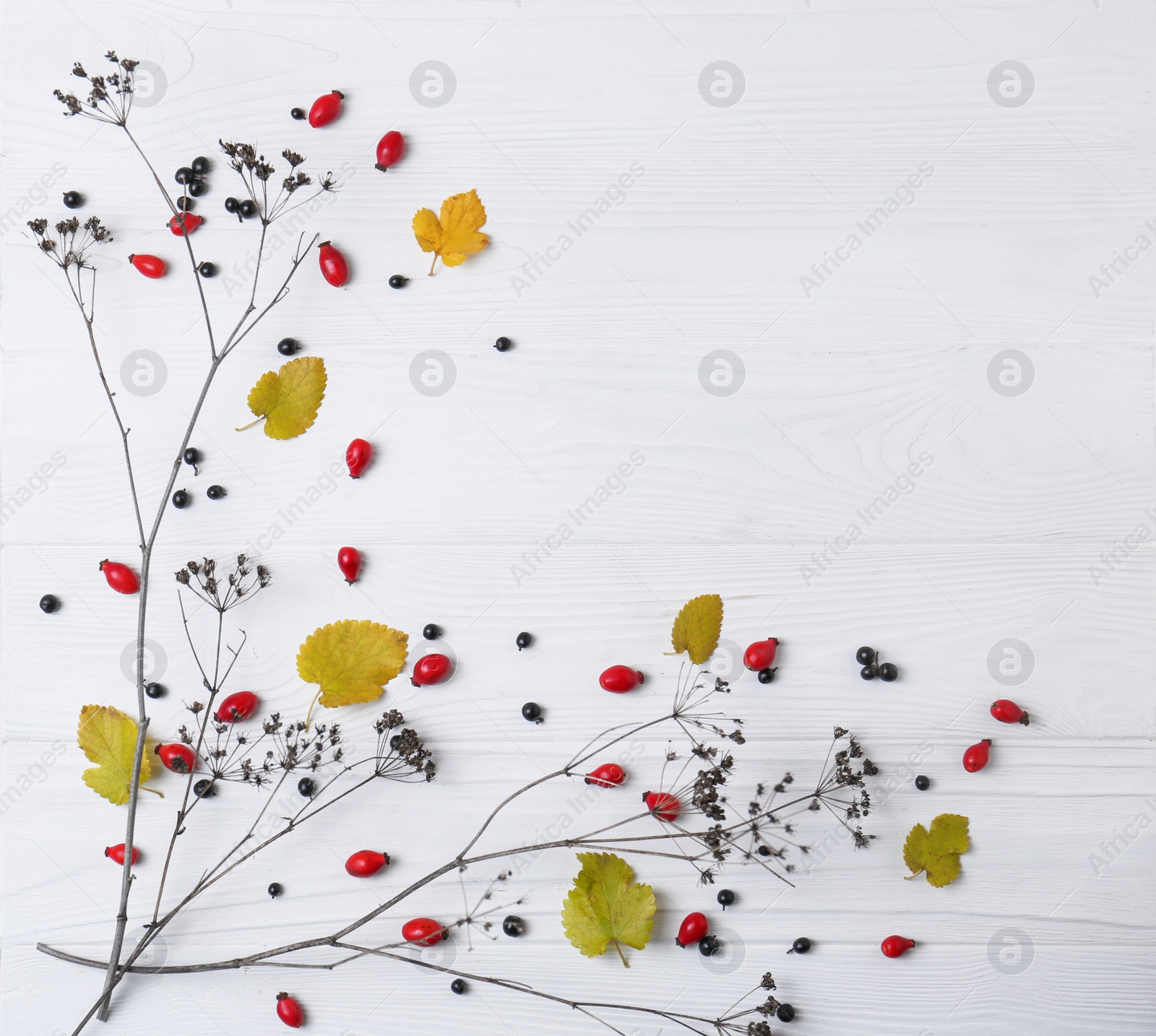 Photo of Flat lay composition with branches, autumn leaves and berries on white wooden table. Space for text