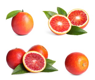 Set with ripe red oranges on white background 