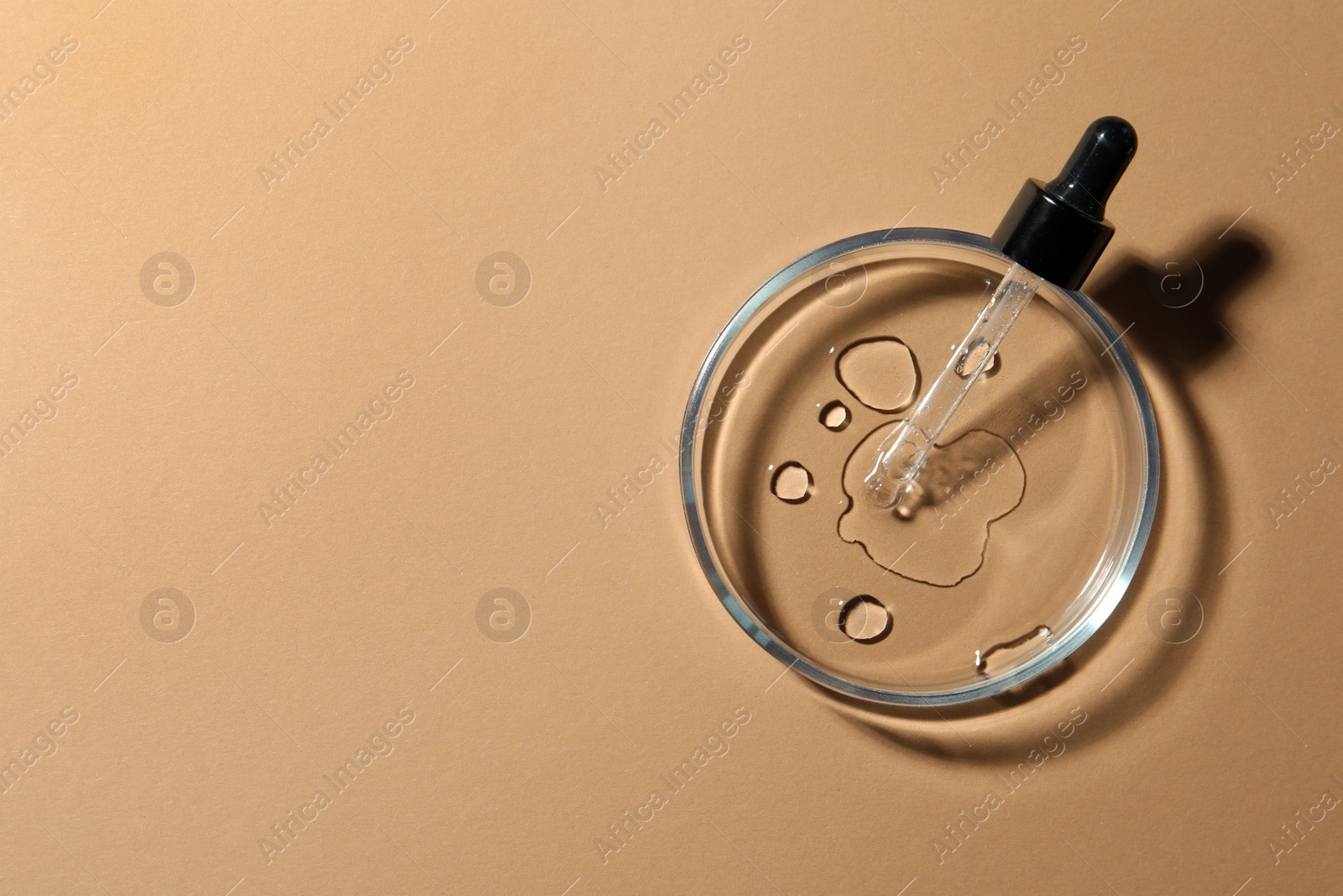 Photo of Petri dish with sample and pipette on beige background, top view. Space for text