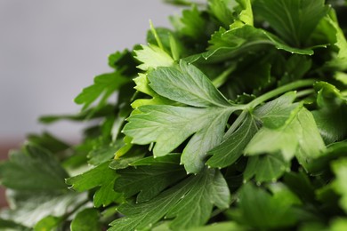 Photo of Fresh green parsley leaves on light grey background, closeup