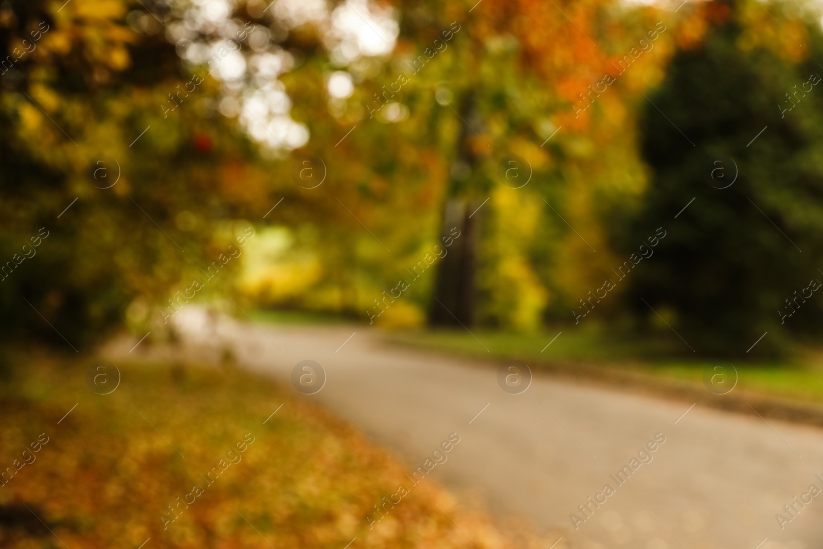 Photo of Blurred view of beautiful park with trees on autumn day