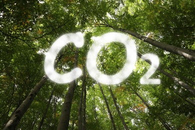 Concept of clear air. CO2 inscription and beautiful green trees, bottom view