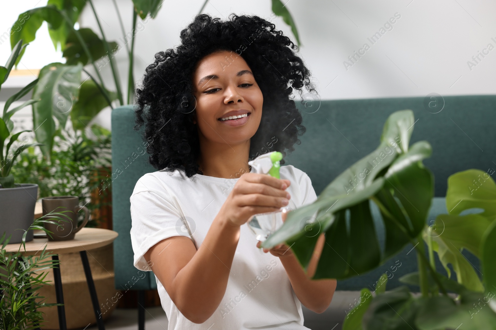 Photo of Houseplant care. Woman spraying beautiful monstera with water indoors. Houseplant care
