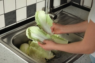 Woman washing fresh Chinese cabbages in sink, closeup