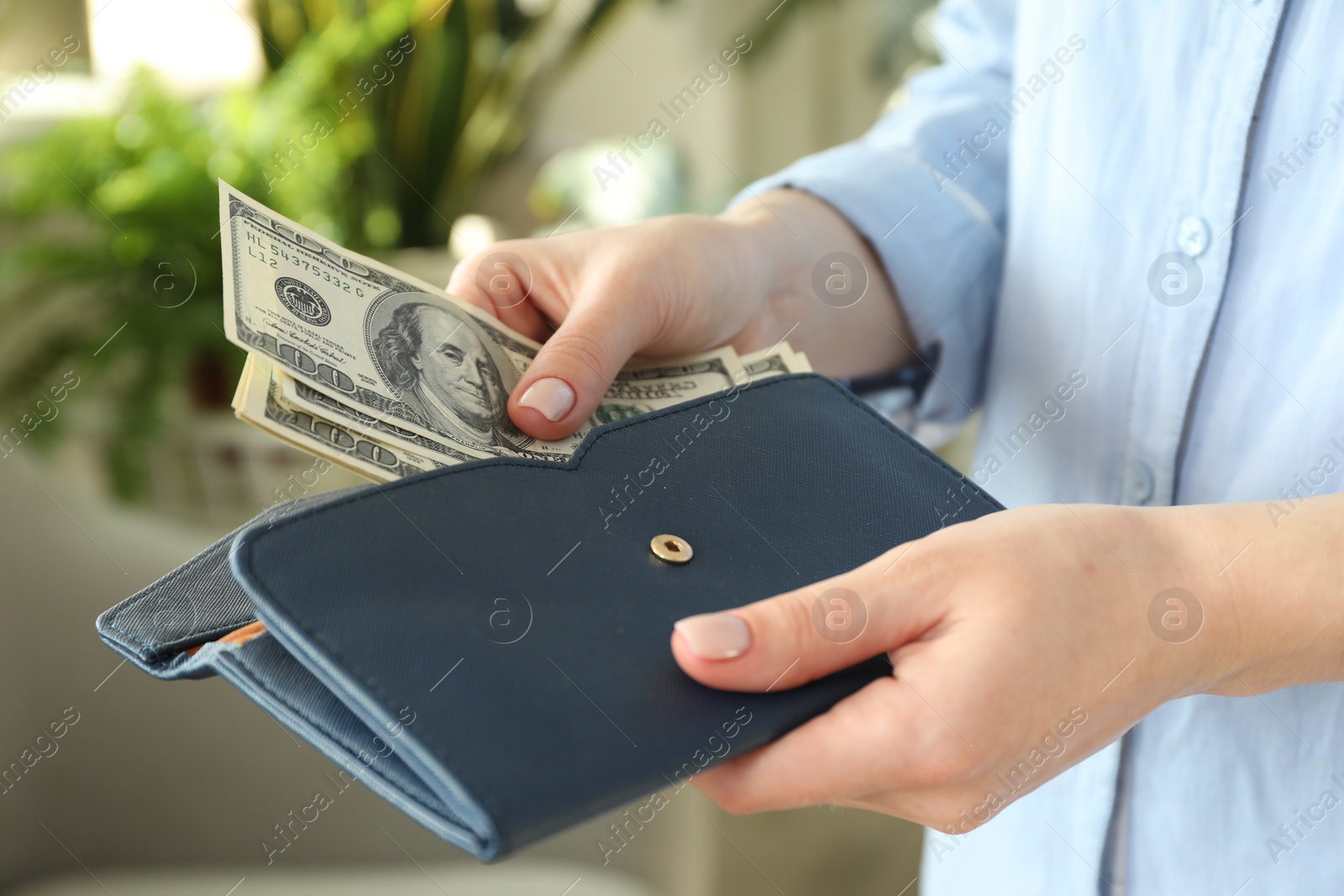 Photo of Money exchange. Woman putting dollar banknotes into wallet on blurred background, closeup