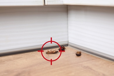 Cockroaches with red target symbol indoors. Pest control