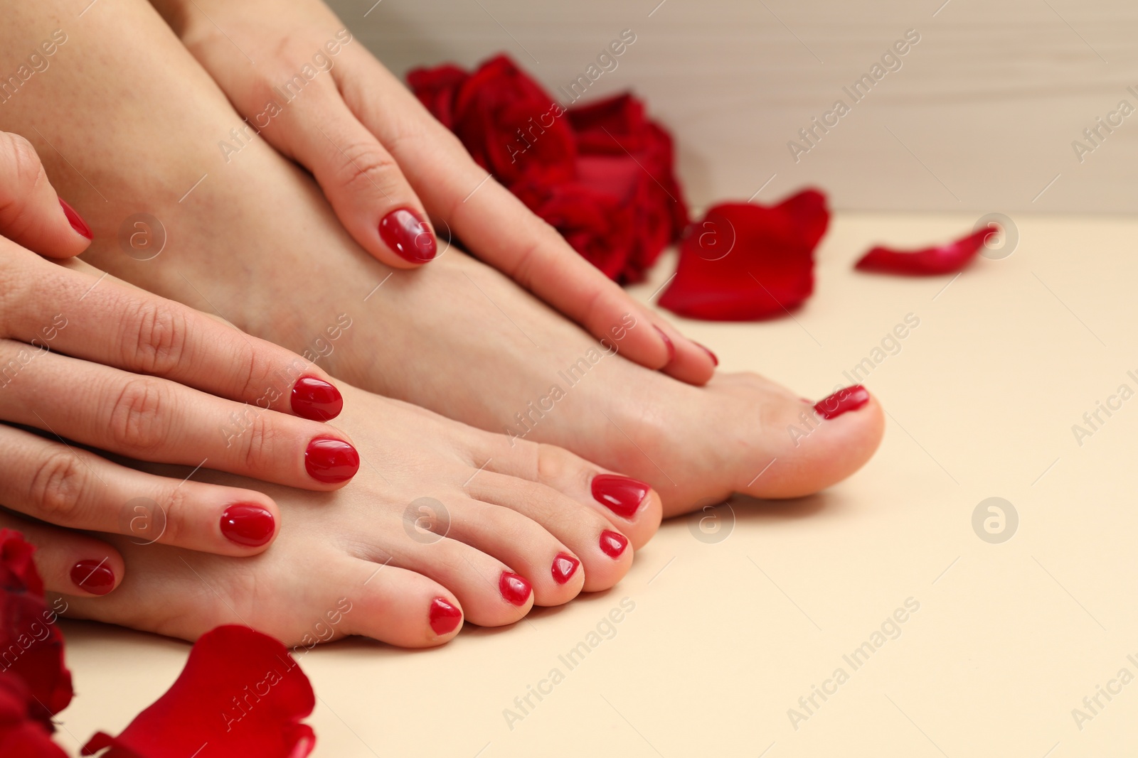 Photo of Woman with stylish red toenails after pedicure procedure and rose petals on beige background, closeup