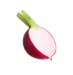 Piece of fresh ripe radish isolated on white