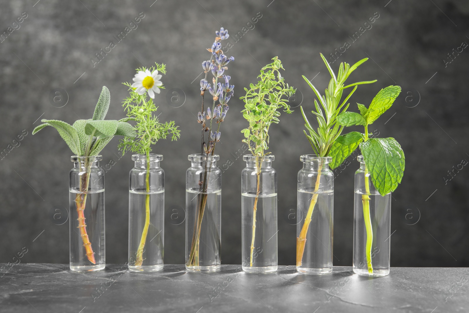 Photo of Bottles with essential oils and plants on grey textured table