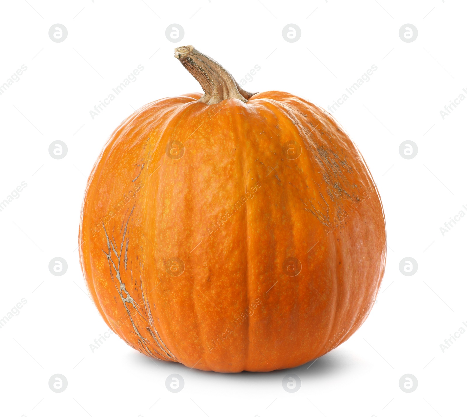 Photo of Fresh raw pumpkin isolated on white. Organic plant