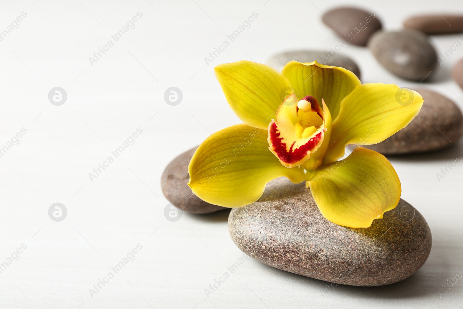 Photo of Spa stones and flower on white table, space for text