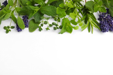 Photo of Many different aromatic herbs on white background. Space for text