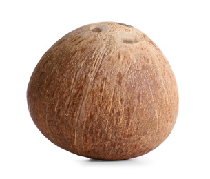 Photo of Ripe whole brown coconut on white background