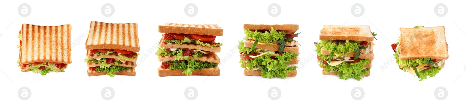 Image of Set of different yummy sandwiches on white background. Banner design 