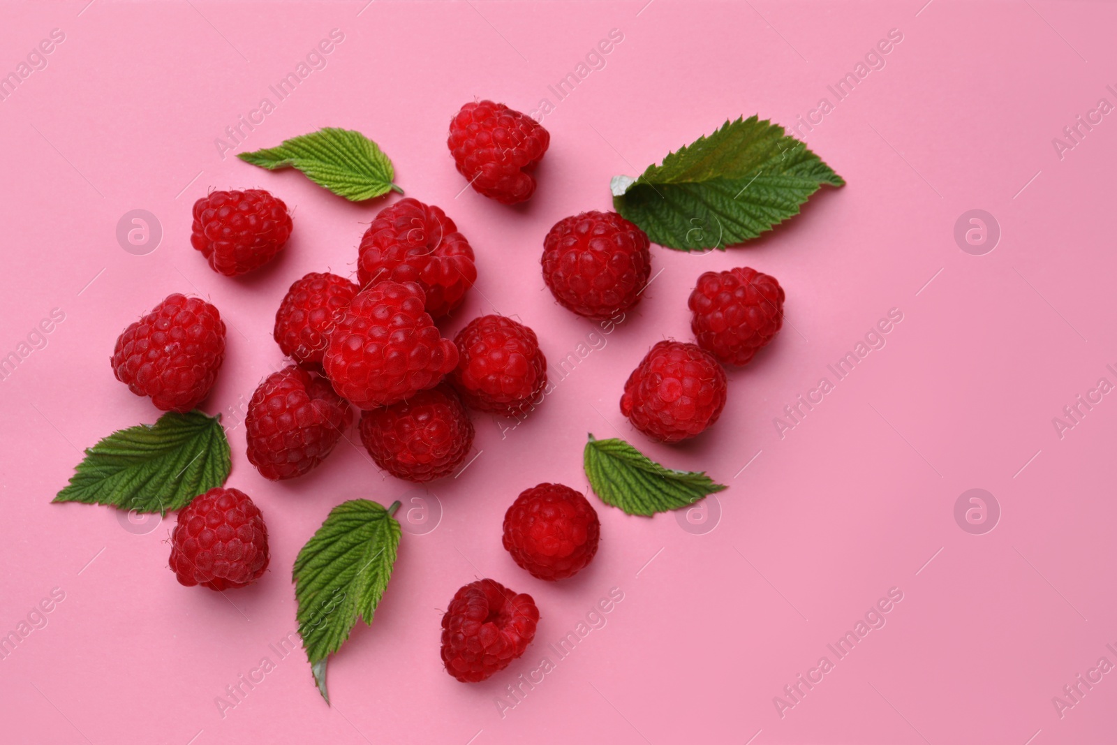 Photo of Tasty ripe raspberries and green leaves on pink background, flat lay. Space for text