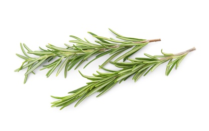 Photo of Fresh green rosemary twigs on white background