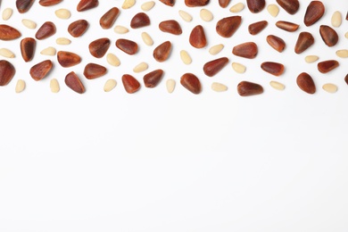 Composition with pine nuts and space for text on white background, top view