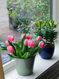 Photo of Beautiful bouquet with pink tulips and potted lily on white window sill indoors