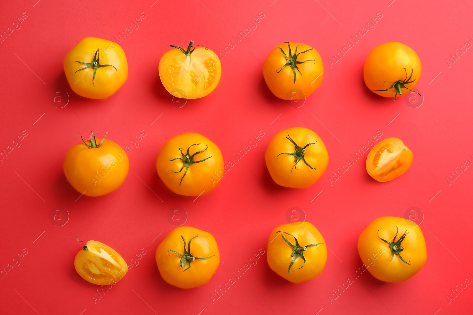 Photo of Yellow tomatoes on red background, flat lay