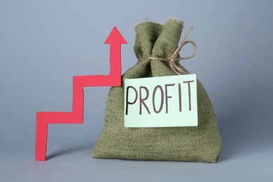 Photo of Economic profit. Money bag and arrow on light grey background