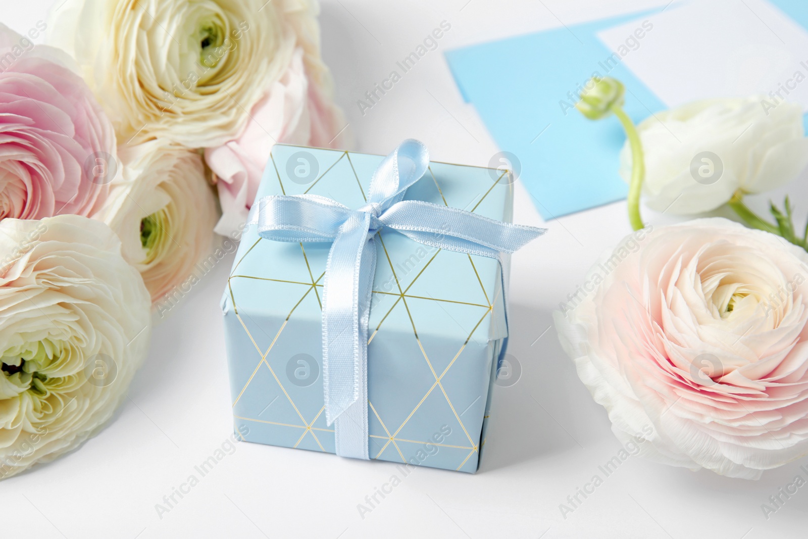 Photo of Beautiful ranunculus flowers, gift box and envelope on white background