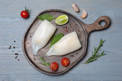 Photo of Flat lay composition with fresh raw squid tubes and garnish ingredients on grey wooden table