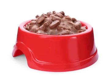 Wet pet food in red feeding bowl isolated on white