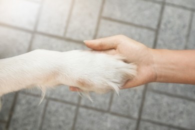 Photo of Young African-American woman and her Golden Retriever dog, closeup